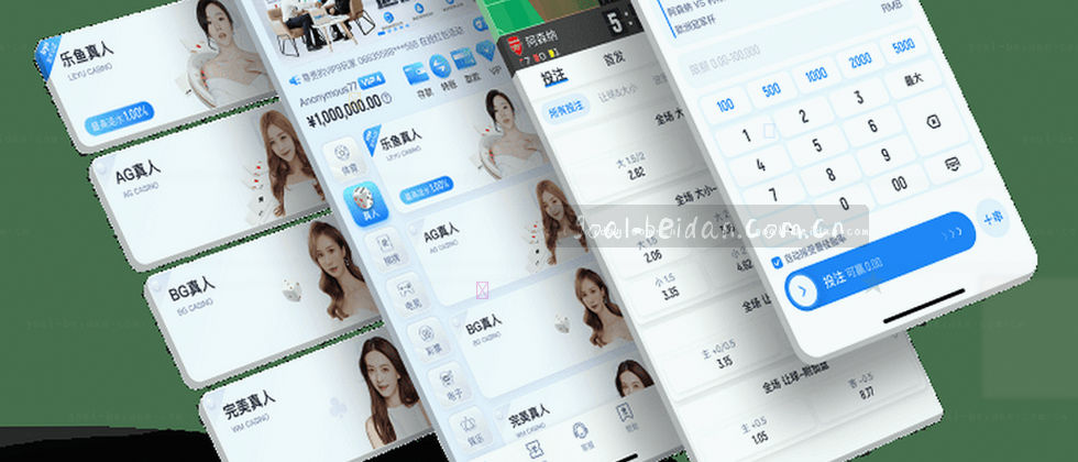 守护隐私，筑牢数据防线